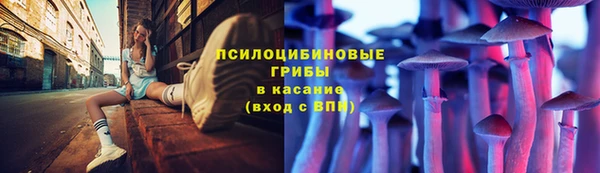 амф Абинск
