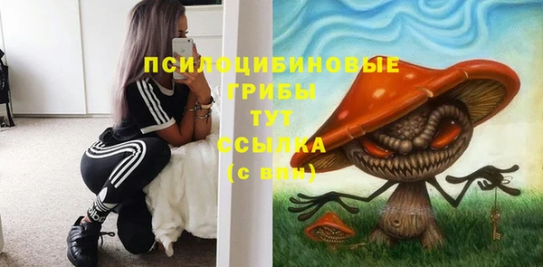 дмт Абаза